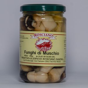 Funghi di Muschio